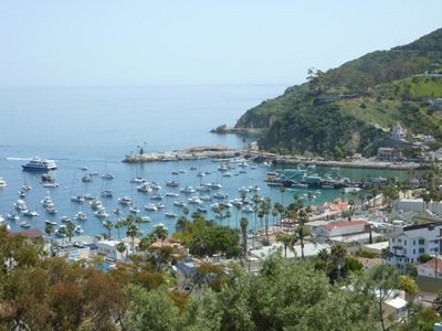 Webcam view of California's Avalon Harbor from the surrounding hills.