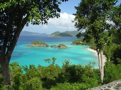 View looking down at St John's Trunk Bay from the road above.