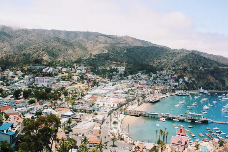 View from one of our Catalina webcams looking towards downtown with Avalon Pier and Harbor in the background.