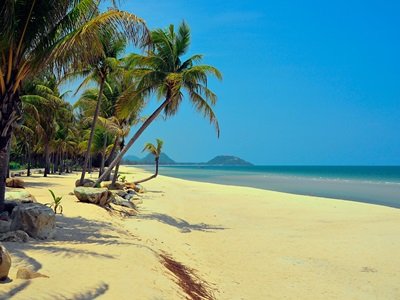 Webcam view of a beautiful, empty beach in Thailand with palm trees and calm waters.