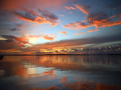 Watch live from these Marco Island webcams
