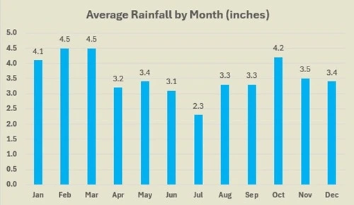 Bermuda average rainfall by month