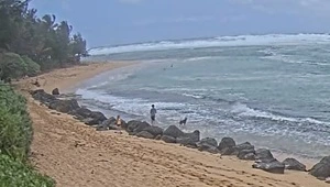 Live webcam view of the rocky beach and surf from the Hanalei Colony Resort webcam