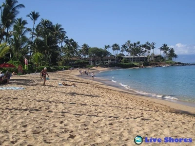 Beautiful golden sand, palm trees and calm water at Napili Bay in Maui Mawaii