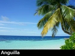 Palm tree hangs over a white sandy beach with the turquoise Caribbean in the backbground