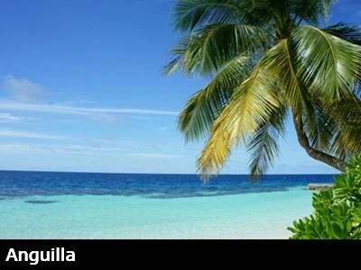 Palm tree hangs over a white sandy beach with the turquoise Caribbean in the backbground