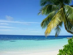 Watch live from the best beaches in Anguilla