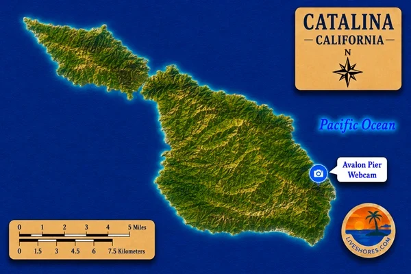 Avalon Pier Webcam Map