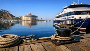 Live view from the ferry landing in Avalon Harbor as people come and go.