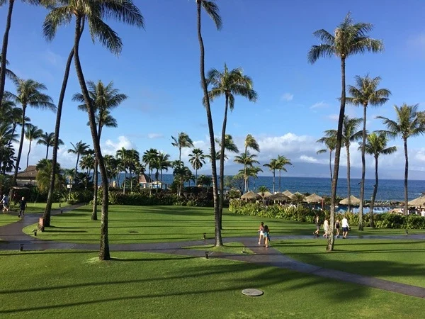 Visitors stroll through the resort on a beautiful February day in Maui.