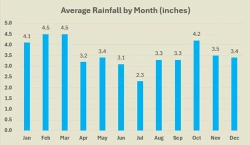 Bermuda average rainfall by month