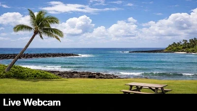 Live view of Brennecke's Beach in beautiful Kauai, Hawaii.