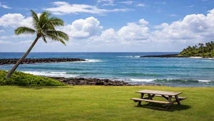 Live view of Brennecke's Beach in beautiful Kauai, Hawaii.