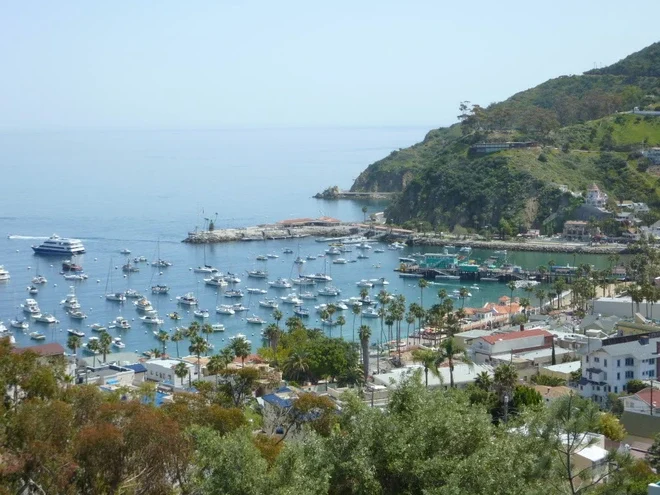 View of Catalina's beautiful Avalon Harbor with moored boats in the protected waters