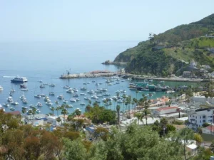 Live California webcams from the most beautiful cities in the state