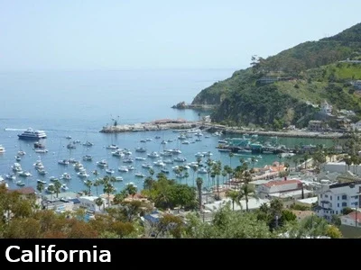 View of Catalina's beautiful Avalon Harbor with moored boats in the protected waters