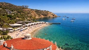 Live view from the top of Catalina's Casino looking towards Descanso Beach.