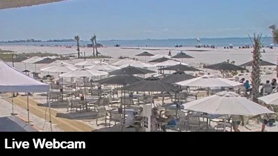Live view of the expansive beach with umbrellas providing shade to the beach goers.