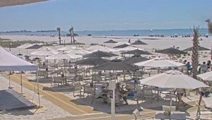 Live view of the expansive beach with umbrellas providing shade to the beach goers.