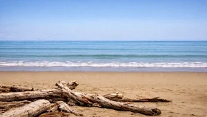 Live view of the beach and beautiful Pacific Ocean as waves break against the shoreline.