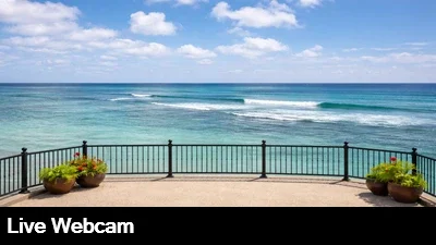 Watch the surf live from the Elk's Lodge in Honolulu, Hawaii.
