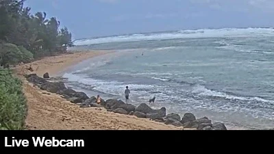 Live view of the rock lined beach and surf from the Hanalei Colony Resort webcam