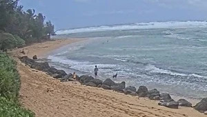 Live view of the rock lined beach and surf from the Hanalei Colony Resort webcam
