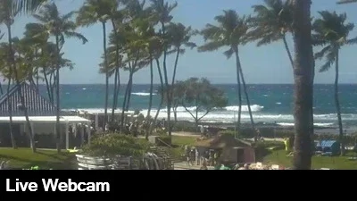 Live view of the swimming lagoon with the ocean in the background at the Hilton Waikoloa Village