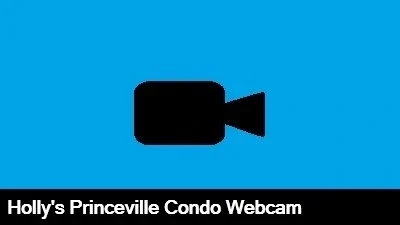 Live view of the ocean and lush vegetation in Princeville Kauai, Hawaii.