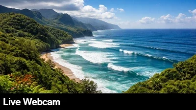 Live view of the ocean and lush vegetation in Princeville Kauai, Hawaii.