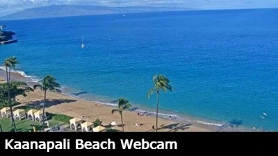 Live view of the beach and Pacific ocean adjacent to the Royal Lahaina Resort