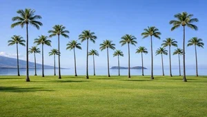 Live view of the Pacific Ocean with the island of Molokini in the background,
