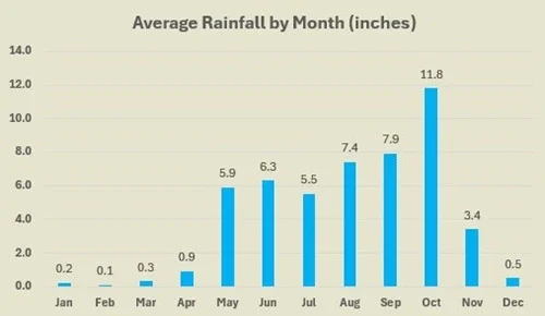 Tamarindo average rainfall by month