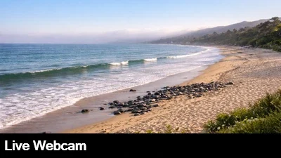 Live view of the beach and surf in Malibu California.
