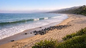 Live view of the beach and surf in Malibu California.