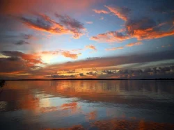 Watch live from these Marco Island webcams