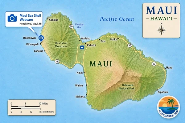 Maui Sea Shell Webcam Map