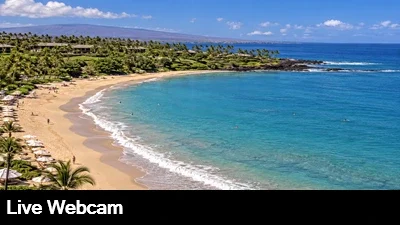 Live view of Kauna'oa beach, as waves break along the shoreline with the rocky, lava point in the background.
