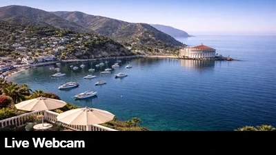 Beautiful live view of Avalon Harbor from the top of Catalina's Mt Ada.