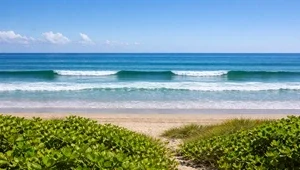 Watch live as the perfect wave rolls into the beach in Nosara, Costa Rica.