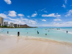 Watch these live Oahu webcams from the resorts and shores of famous Waikiki and more