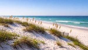 Live, ground level view of Panama City Beach in northern Florida.