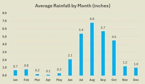 Puerto Vallarta average rainfall by month