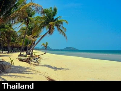 Webcam view of a beautiful, empty beach in Thailand with palm trees and calm waters