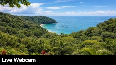Live view from the Tulemar Resort overlooking the lush, dense jungle and Pacific Ocean.