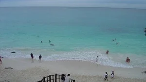 Live view from beach level looking out over the golden sand and Caribbean Sea.