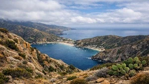 Live view from the the rugged side of Catalina Island in California.