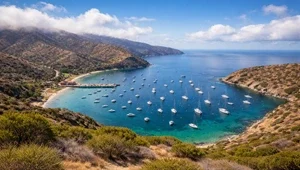 Live view from the surrounding hills looking down at the pier and boats moored at Two Harbors in Catalina Island, California.