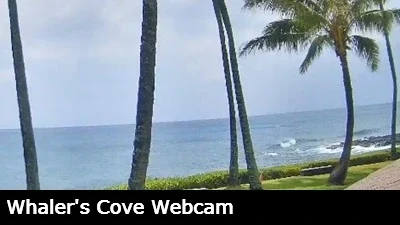 Live view of the Pacific ocean and boardwalk area from the Whalers Cove webcam in Kauai, Hawaii