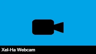 Live Xel-Ha Webcam
